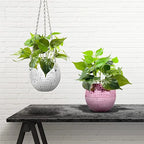 Disco Mirror Ball Hanging Planter Basket Succulent Pot Wall Decor Vase Home