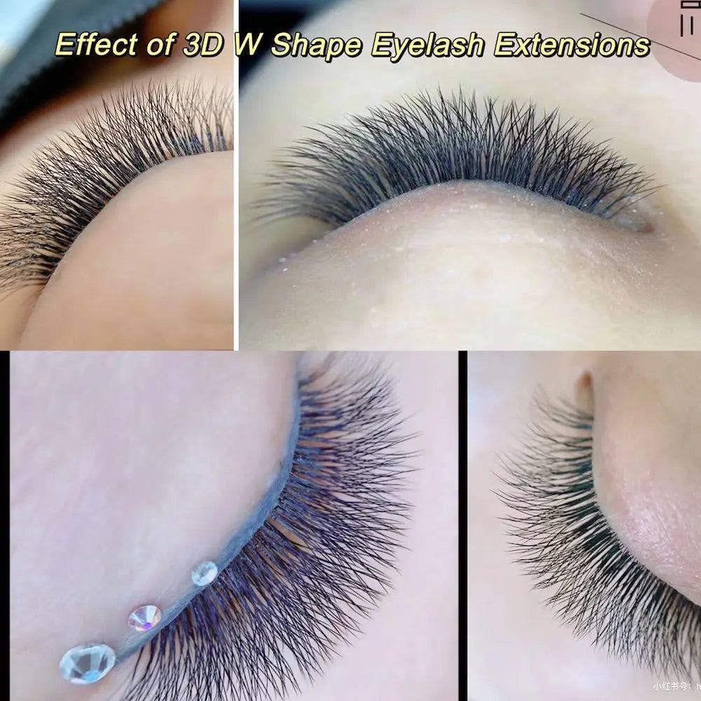 NAGARAKU Automatic Flowering W Shape Bloom 3D 4D 5D 6D Premade Fans Eyelash